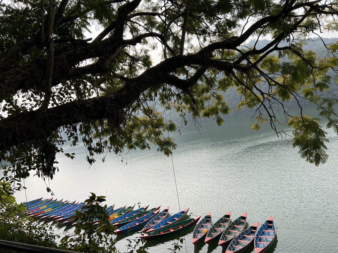 🛶 Pokhara's Painted Paddles: Phewa Lake Serenity